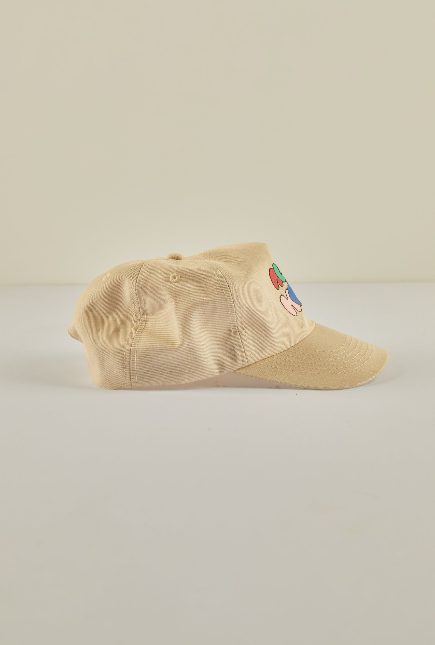 Cartoon Logo Cap