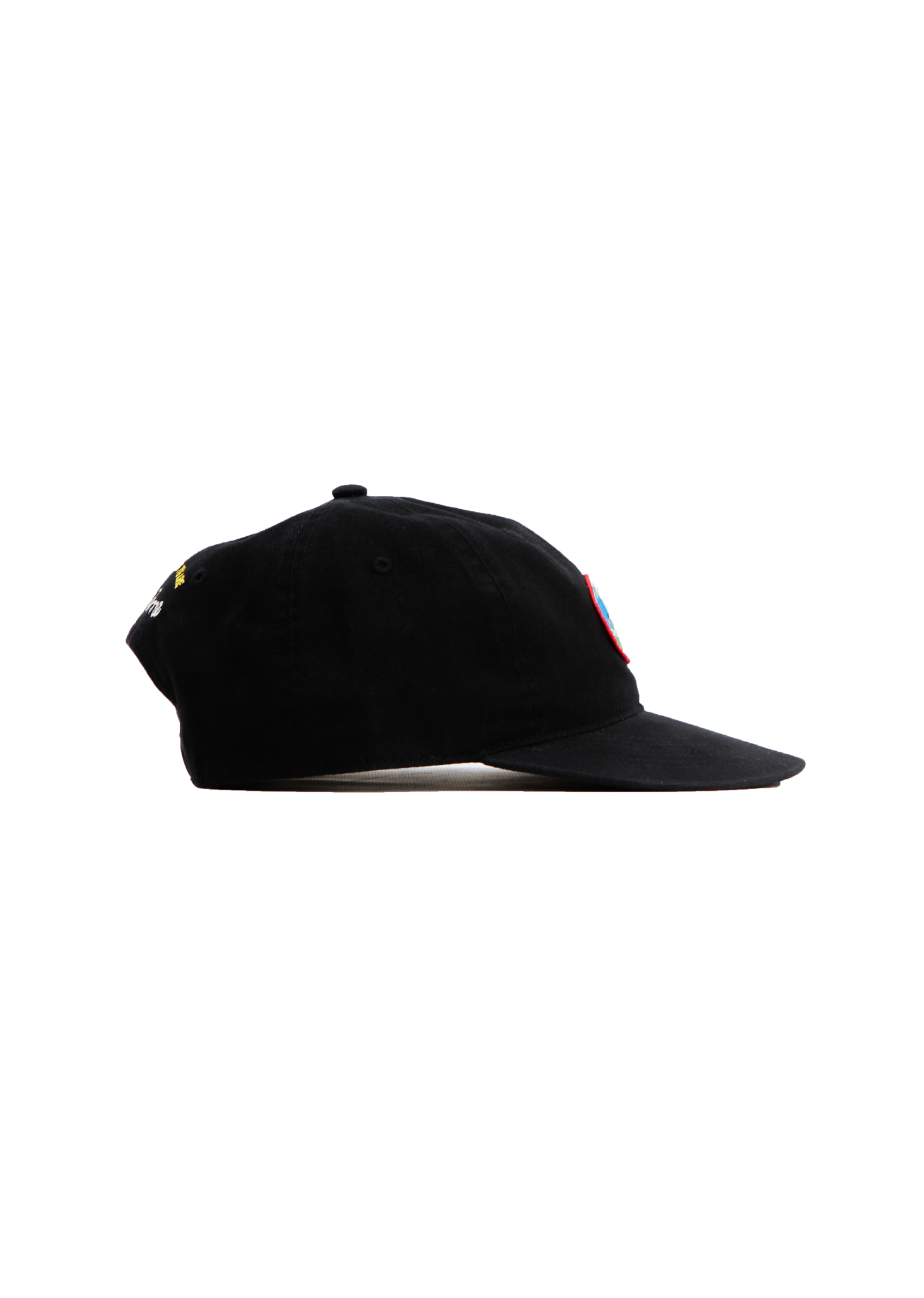 Classic Panel Landscape Cap